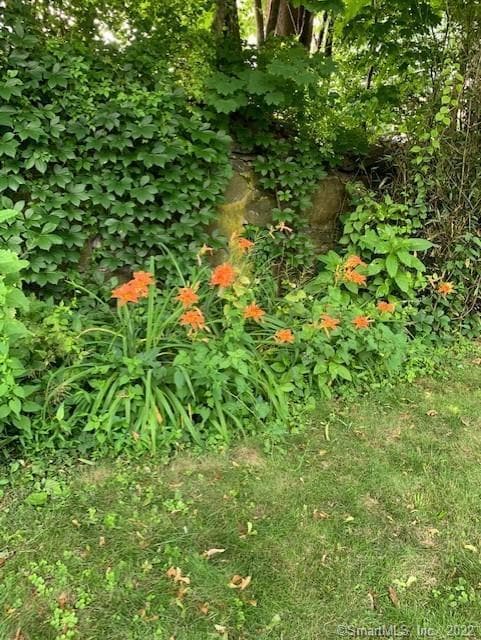 Building Photo - 5 Belmont Pl