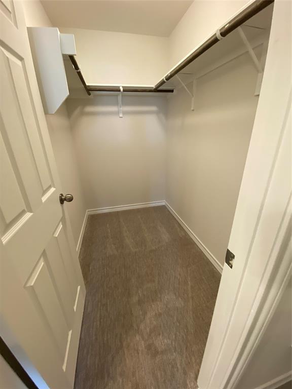 Building Photo - 4802 Star Jasmine Dr