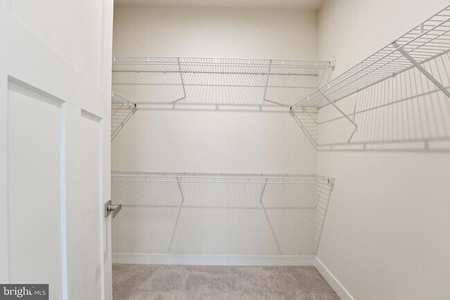 Building Photo - 42538 Tiber Falls Sq