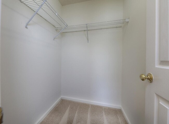 Building Photo - 163 Springwood Ln