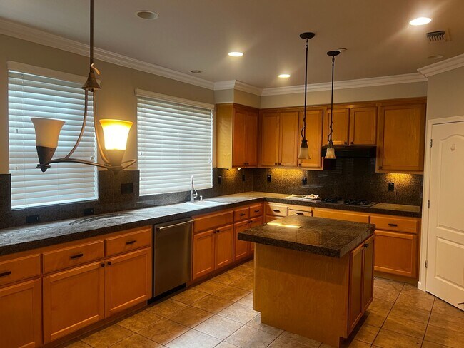 Building Photo - Large, Beautiful Shadow Lakes Home in Court Location