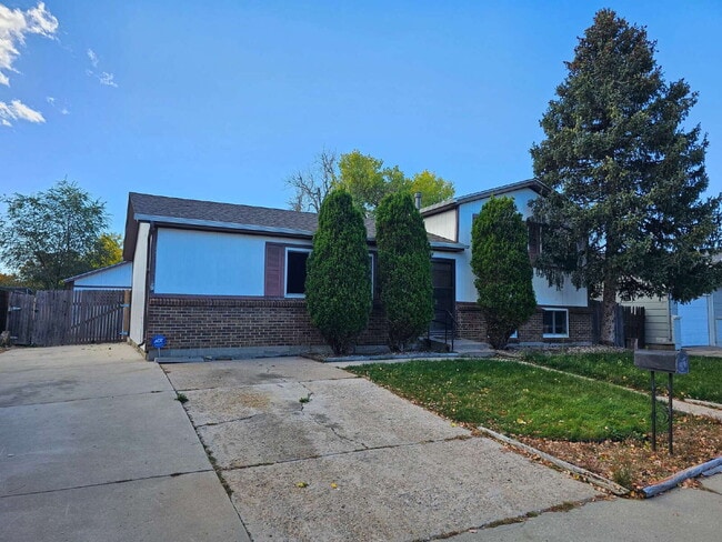 Primary Photo - Charming 3BR/2BA with Massive Yard and Gar...