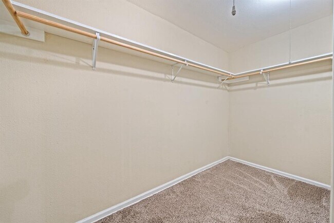 Building Photo - 5123 Shady Oaks Ln