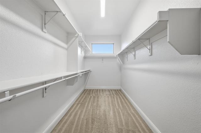 Building Photo - 10668 Capistrano Rd