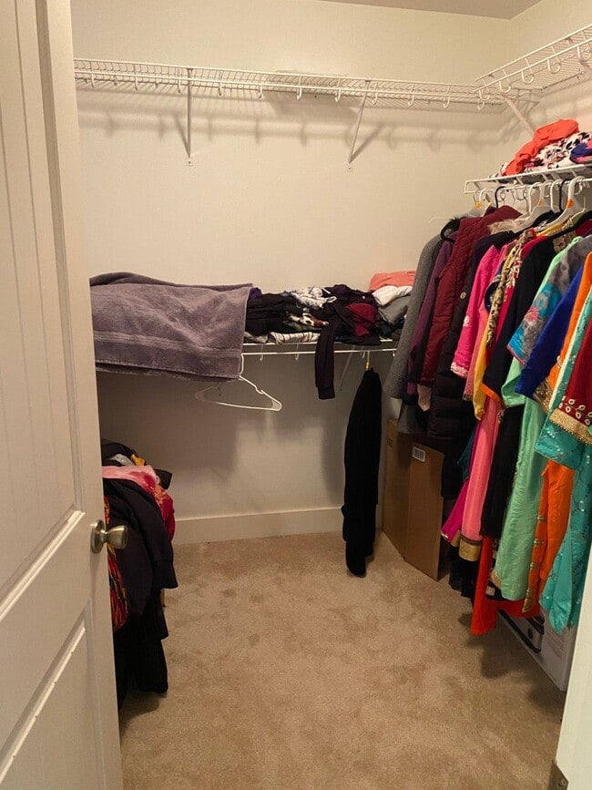 Building Photo - 5-Bedroom Home Located in Barkley Neighborhood