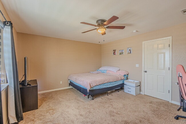 Building Photo - 3240 Peruvian Paso