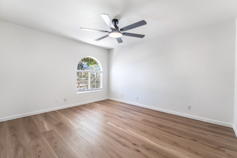 Building Photo - 2813 Misty Grove Dr