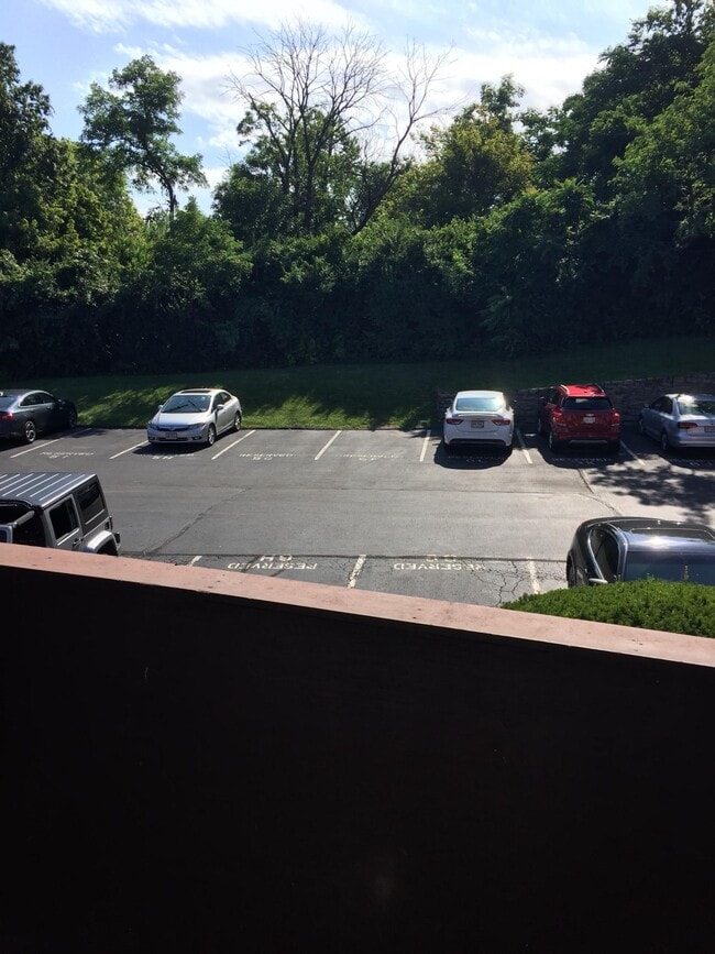 View from balcony, parking spot - 4906 Chalet Dr