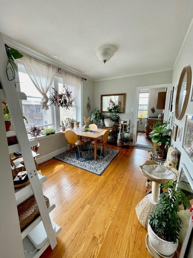 Building Photo - 1 bedroom in Chicago IL 60640