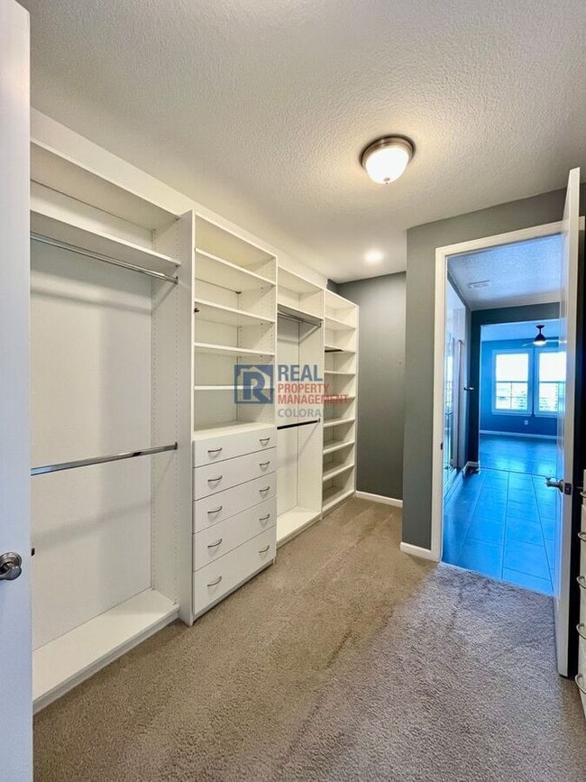 Building Photo - 873 Woodgate Dr