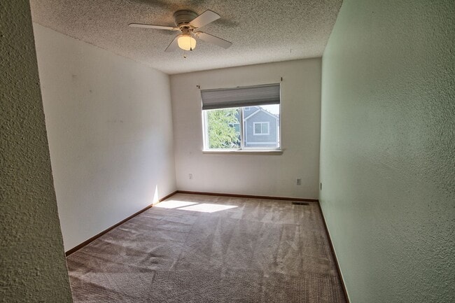 Building Photo - 4 bed 3 bath home in Clarke Farms Parker