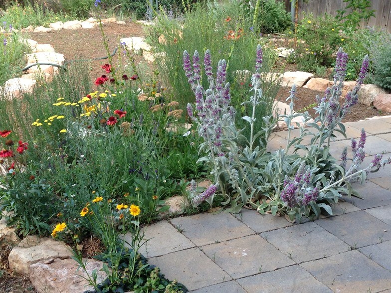 Flagstaff Garden with Native Flowers - 4190 E Village Cir