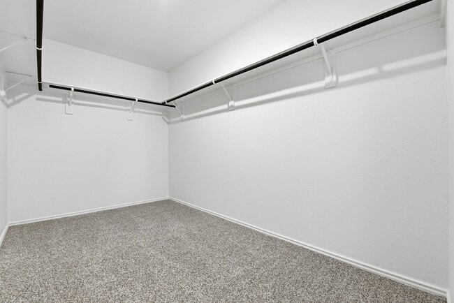 Building Photo - 3819 Axyl Run Ct