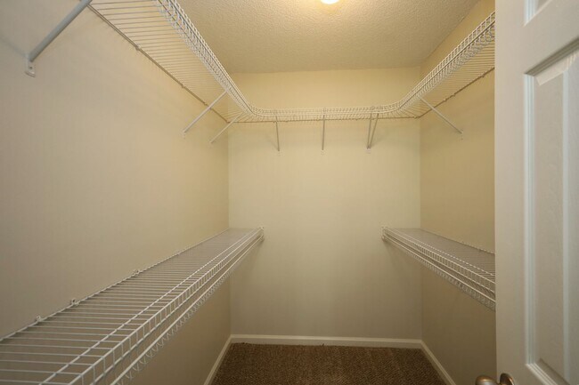 Building Photo - 4125 Springruff Dr