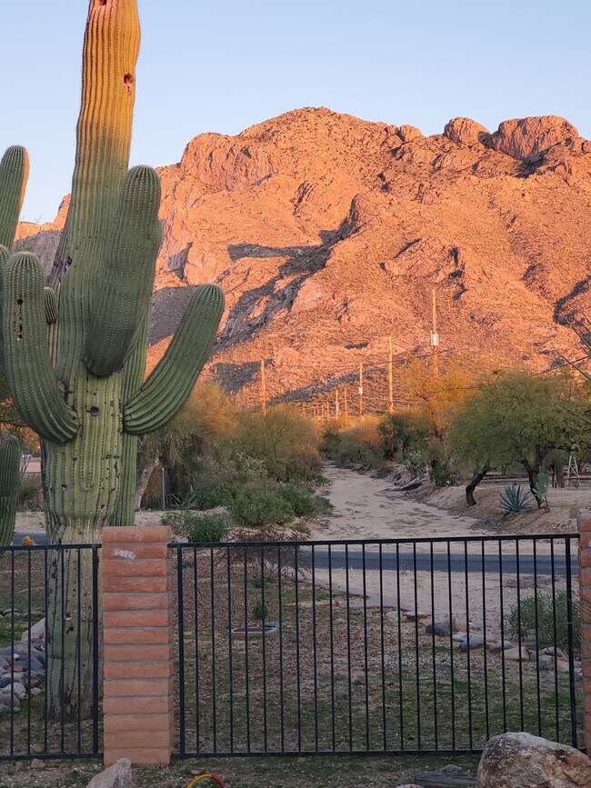 Building Photo - 9141 N Overlook Dr