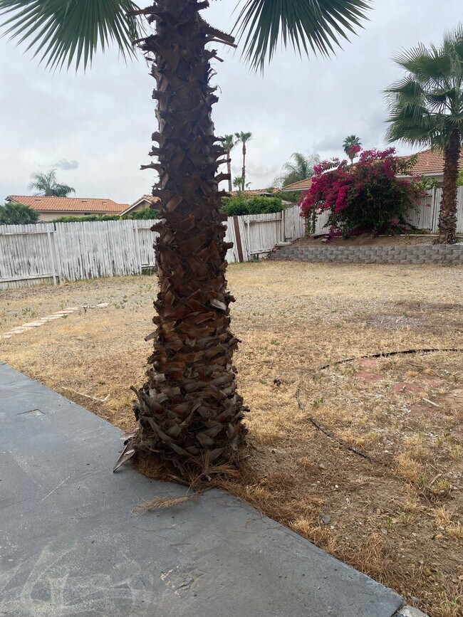 Building Photo - 16502 Mango Way