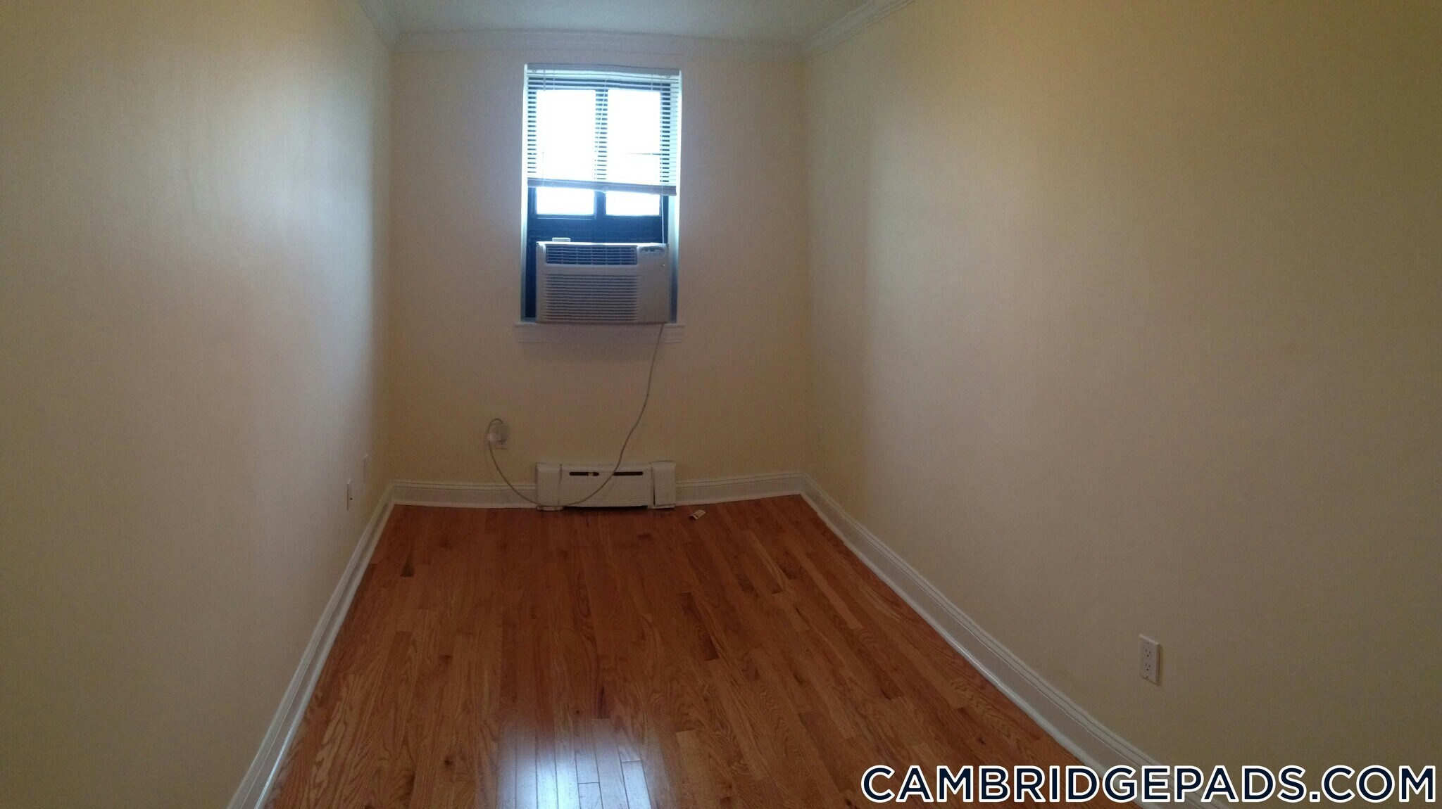 Building Photo - 60 Brattle St