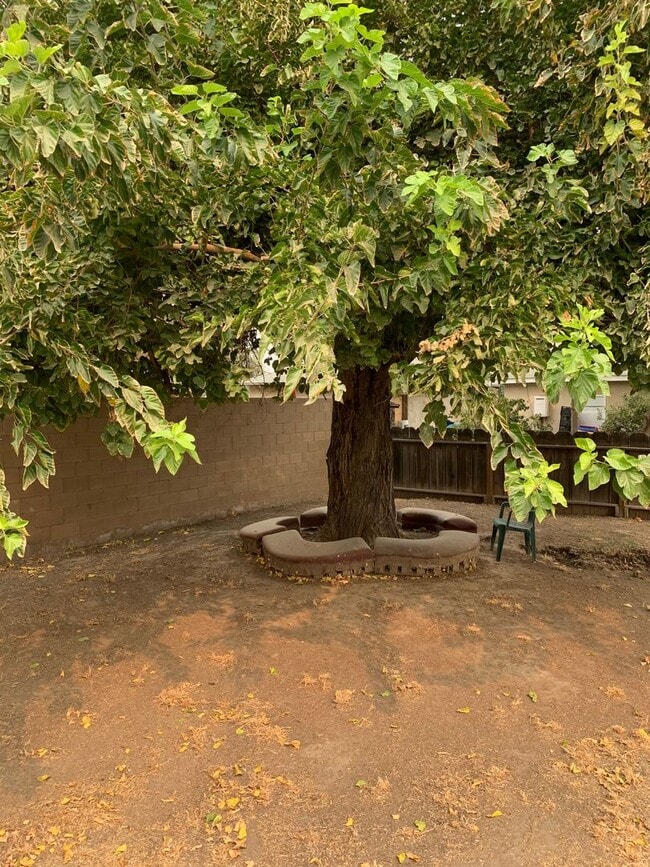 Building Photo - 2 Bedroom 1 Bath