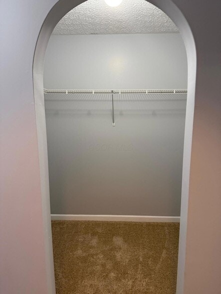 Building Photo - 6729 Kristins Cove Ln