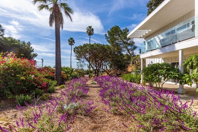 Building Photo - 6459 Sycamore Meadows Dr