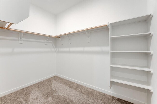 Building Photo - 16542 Texas Palmetto Wy