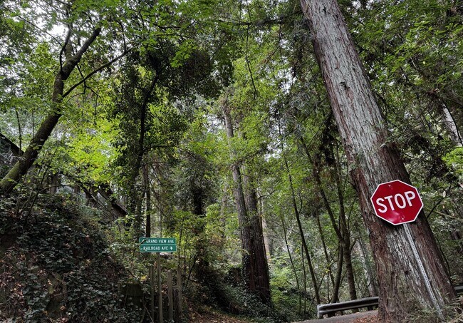 Building Photo - 1604 Square foot modern multi level home minutes from Occidental, storage, primary suite, large y...