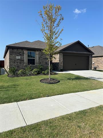 Building Photo - 1329 Skyline Dr