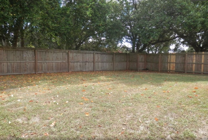 Building Photo - 3707 Temple St