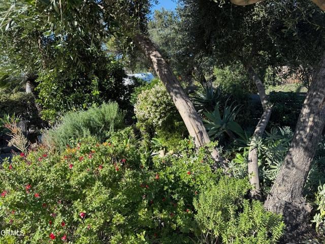 Building Photo - 300 W Loma Alta Dr