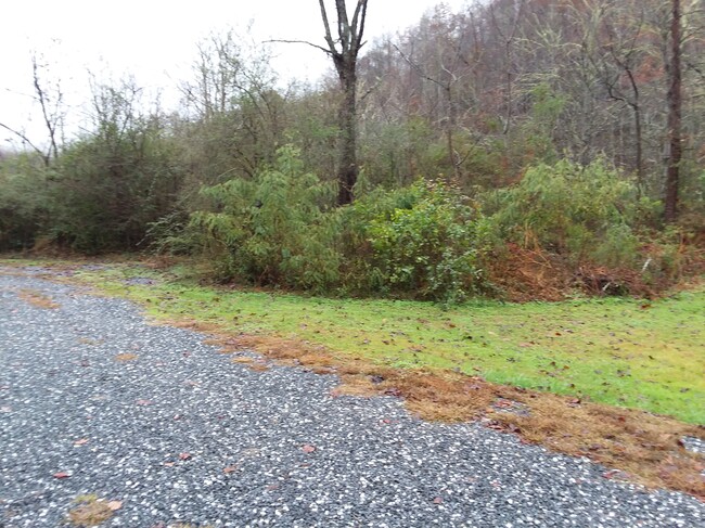 Building Photo - Unit #14- Cullowhee Cabins & Cottages