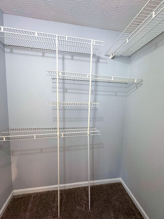 Building Photo - Beautiful 3 Bed 2 Bath Home with Fenced Backyard