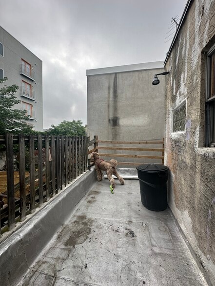 Building Photo - 917 Ellsworth St