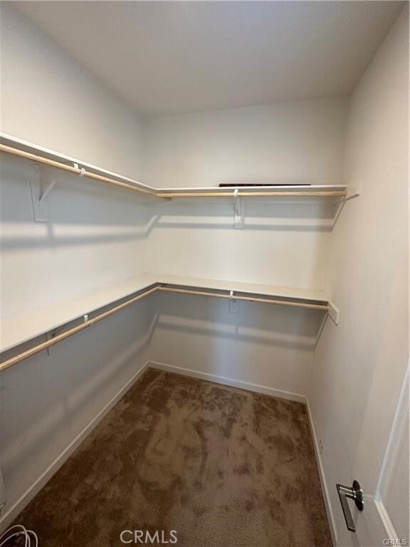 Building Photo - 11022 Sunshade Dr