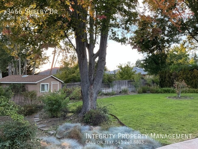 Building Photo - 3466 Shelby Dr