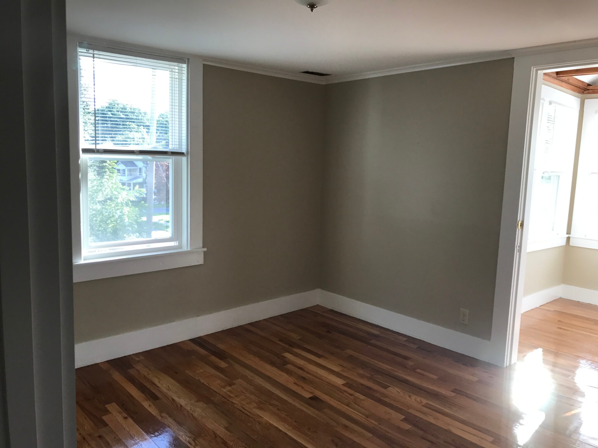 Building Photo - 233 Elm St