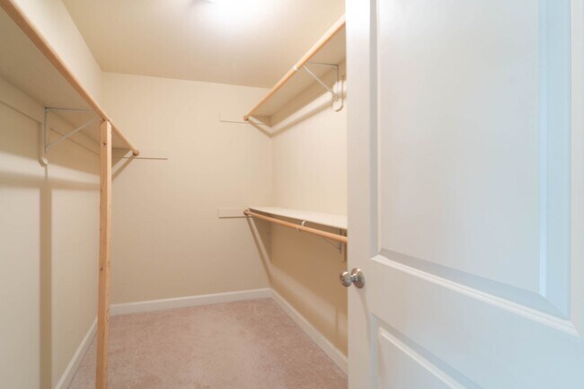 Building Photo - Stunning Centreville Townhome With Excellent Commuter Access