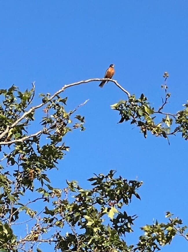 Building Photo - Beautifully Updated & Remodeled Townhome o...