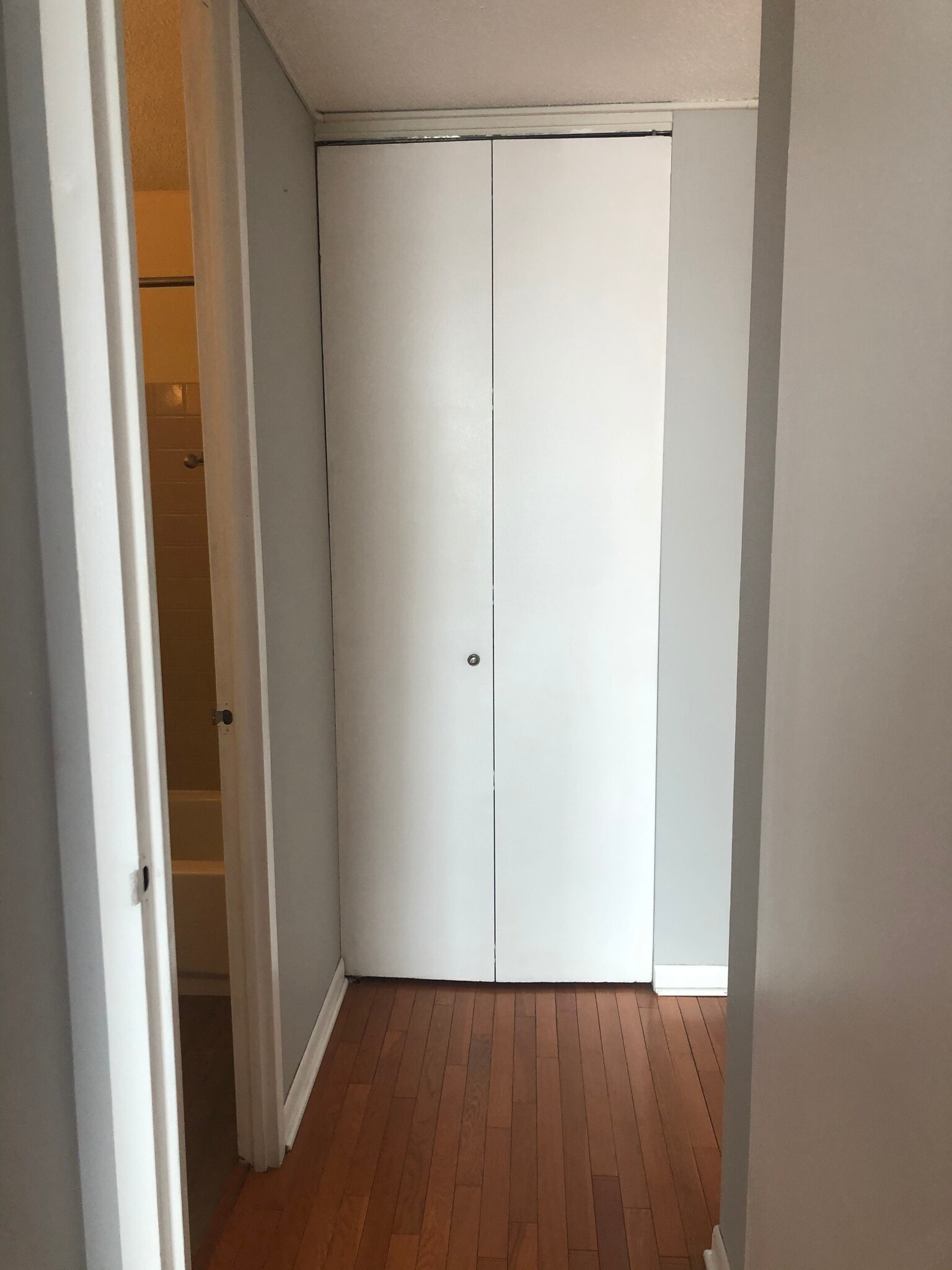 Tons of closets - 2728 N Hampden Ct