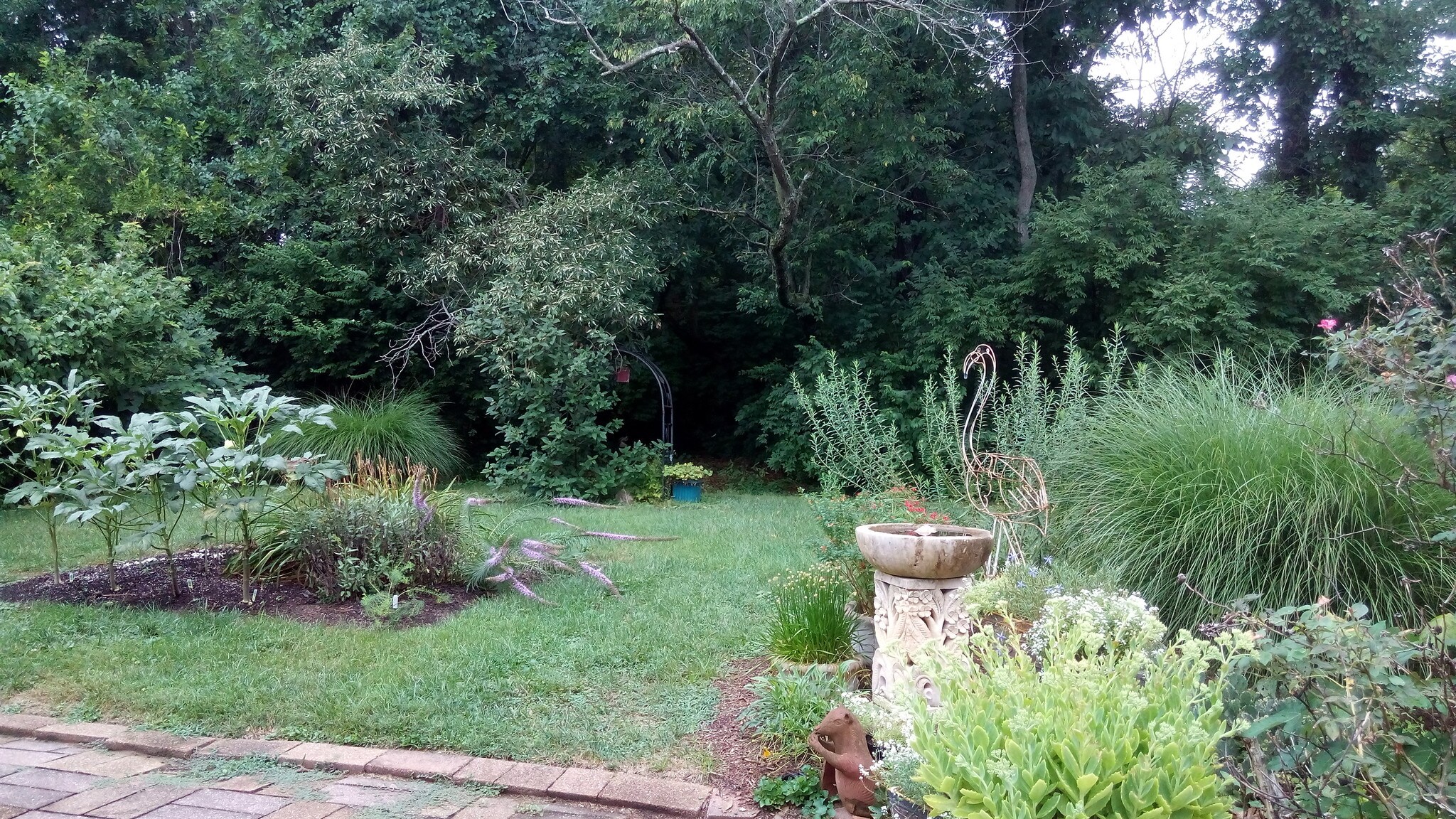 back yard - 2144 East Dr
