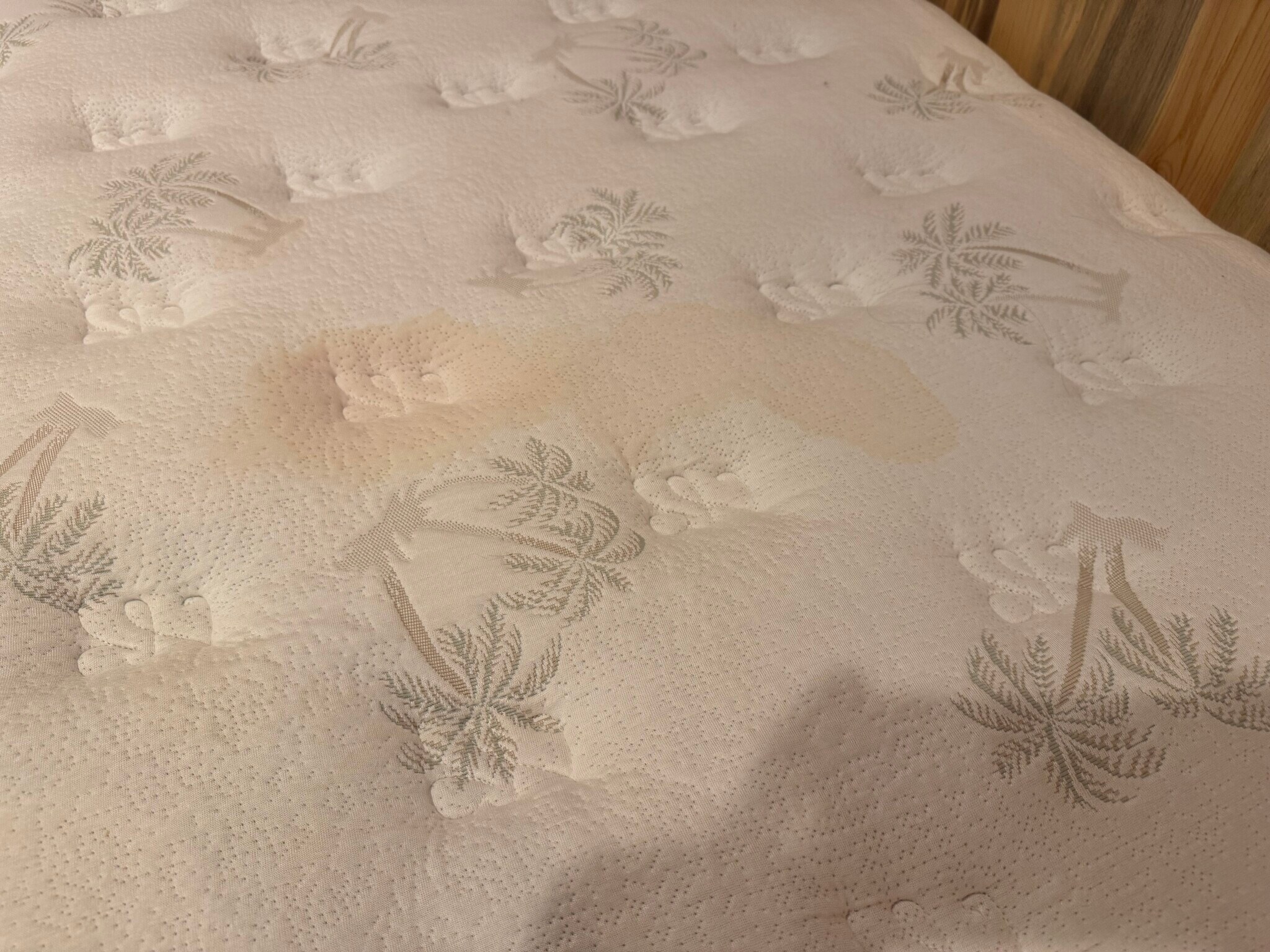 Building Photo - 342 S Mount Vernon Ave