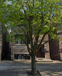 Building Photo - 445 W 37th St