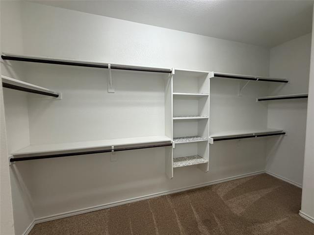 Building Photo - 2225 Windhaven Dr