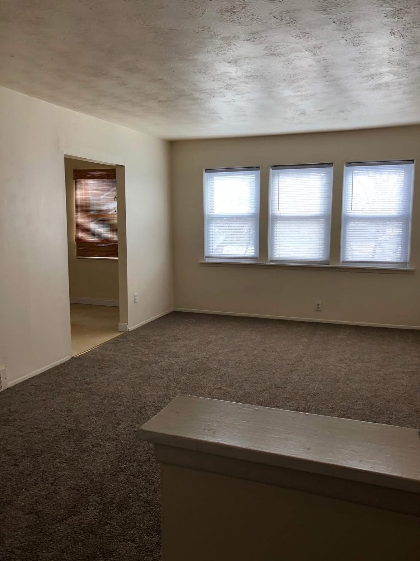 Living room - 1002 Oak St