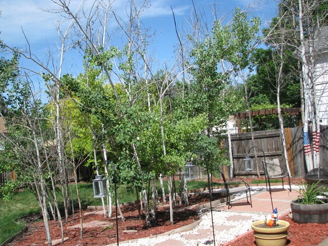 Building Photo - Stunning 3 Bedroom/ 3 Bath Home With Large Backyard!