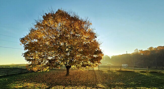 Building Photo - Christiansburg, 3 BR / 2.5 BA, Available A...