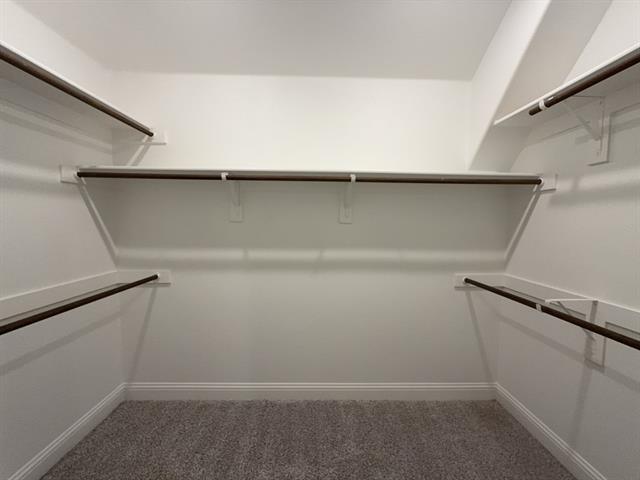 Building Photo - 612 Amenduni Ln