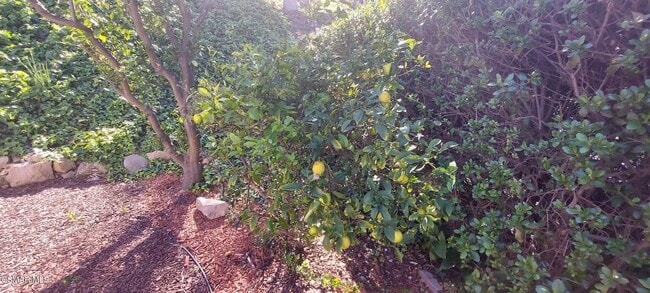 Building Photo - 6050 Gitana Ave