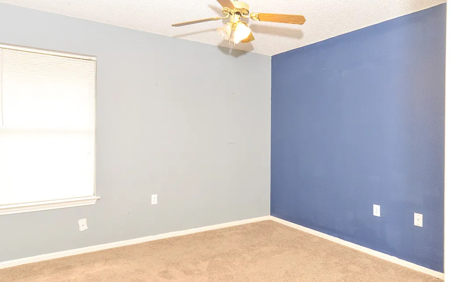 Building Photo - 314 Scotch Rose Ln