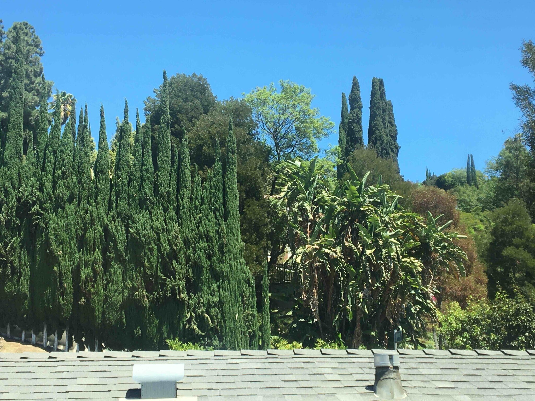 BR2 Window View - 3033 Hollycrest Dr