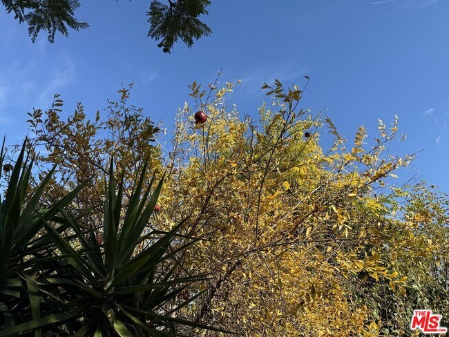 Building Photo - 23744 Hartland St